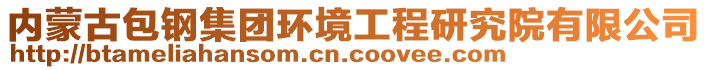 內(nèi)蒙古包鋼集團(tuán)環(huán)境工程研究院有限公司