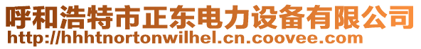 呼和浩特市正東電力設(shè)備有限公司