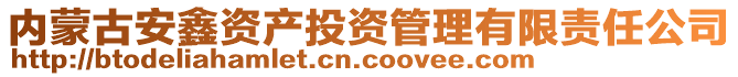 内蒙古安鑫资产投资管理有限责任公司