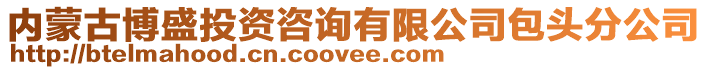 內(nèi)蒙古博盛投資咨詢有限公司包頭分公司