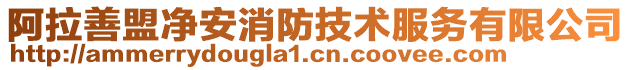 阿拉善盟凈安消防技術(shù)服務(wù)有限公司