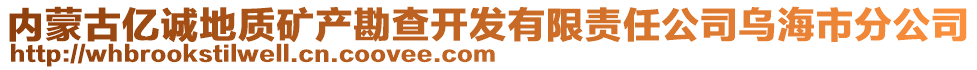 內(nèi)蒙古億誠地質(zhì)礦產(chǎn)勘查開發(fā)有限責(zé)任公司烏海市分公司