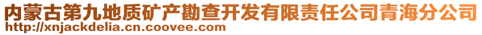 內(nèi)蒙古第九地質(zhì)礦產(chǎn)勘查開發(fā)有限責(zé)任公司青海分公司