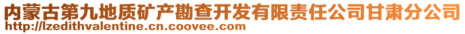 內蒙古第九地質礦產勘查開發(fā)有限責任公司甘肅分公司