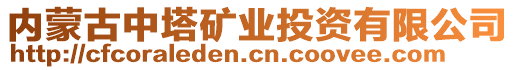 內(nèi)蒙古中塔礦業(yè)投資有限公司