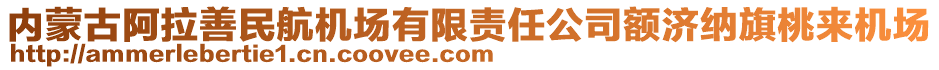 內(nèi)蒙古阿拉善民航機(jī)場(chǎng)有限責(zé)任公司額濟(jì)納旗桃來(lái)機(jī)場(chǎng)