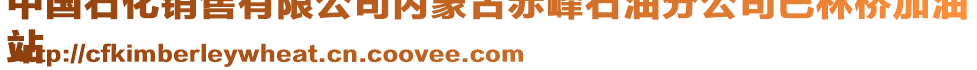 中國(guó)石化銷售有限公司內(nèi)蒙古赤峰石油分公司巴林橋加油
站