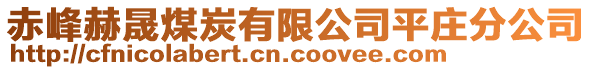 赤峰赫晟煤炭有限公司平莊分公司