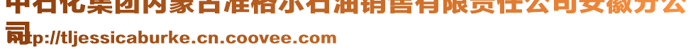 中石化集團內(nèi)蒙古準格爾石油銷售有限責(zé)任公司安徽分公
司