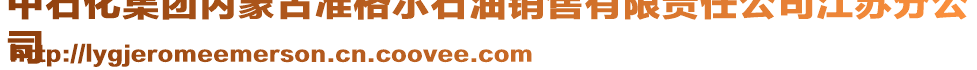 中石化集團(tuán)內(nèi)蒙古準(zhǔn)格爾石油銷售有限責(zé)任公司江蘇分公
司