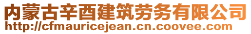 內蒙古辛酉建筑勞務有限公司