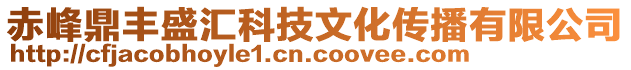 赤峰鼎豐盛匯科技文化傳播有限公司