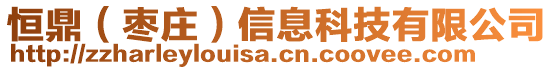 恒鼎（枣庄）信息科技有限公司