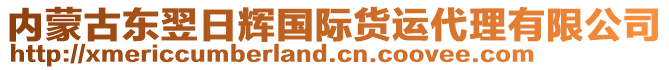 内蒙古东翌日辉国际货运代理有限公司