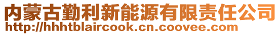 內(nèi)蒙古勤利新能源有限責(zé)任公司