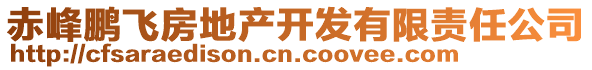 赤峰鵬飛房地產(chǎn)開發(fā)有限責任公司