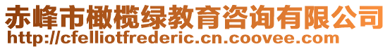 赤峰市橄欖綠教育咨詢有限公司