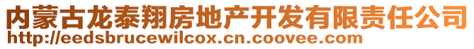 內(nèi)蒙古龍?zhí)┫璺康禺a(chǎn)開發(fā)有限責任公司