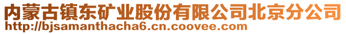 內(nèi)蒙古鎮(zhèn)東礦業(yè)股份有限公司北京分公司