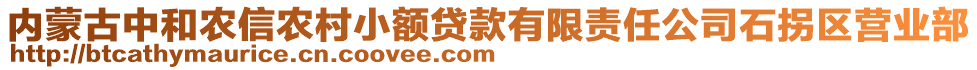 內蒙古中和農信農村小額貸款有限責任公司石拐區營業部