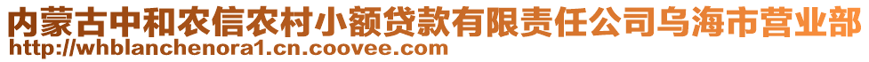 內(nèi)蒙古中和農(nóng)信農(nóng)村小額貸款有限責(zé)任公司烏海市營業(yè)部