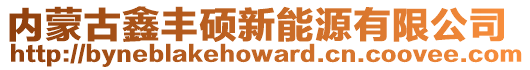 内蒙古鑫丰硕新能源有限公司