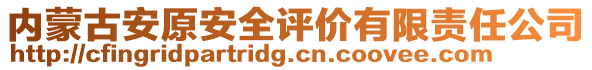 內(nèi)蒙古安原安全評(píng)價(jià)有限責(zé)任公司