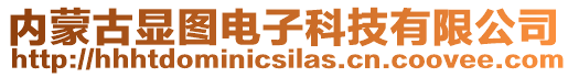 內(nèi)蒙古顯圖電子科技有限公司