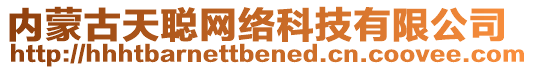 內(nèi)蒙古天聰網(wǎng)絡(luò)科技有限公司