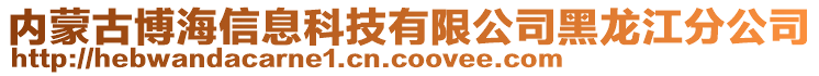 內(nèi)蒙古博海信息科技有限公司黑龍江分公司