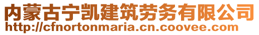 內(nèi)蒙古寧凱建筑勞務(wù)有限公司