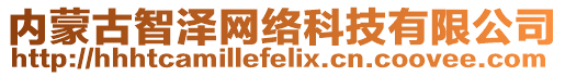 內(nèi)蒙古智澤網(wǎng)絡(luò)科技有限公司