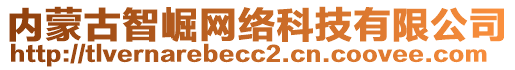 內(nèi)蒙古智崛網(wǎng)絡(luò)科技有限公司