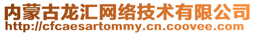 內蒙古龍匯網絡技術有限公司