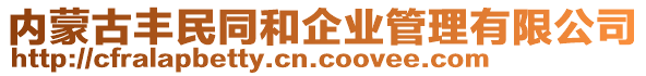 內(nèi)蒙古豐民同和企業(yè)管理有限公司