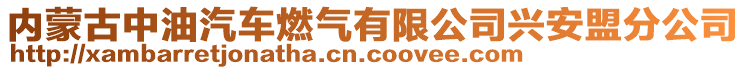 内蒙古中油汽车燃气有限公司兴安盟分公司