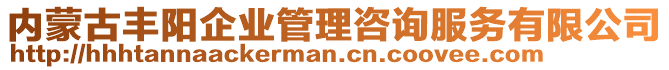 內(nèi)蒙古豐陽(yáng)企業(yè)管理咨詢服務(wù)有限公司