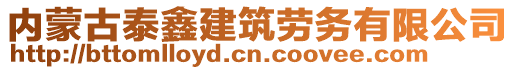 内蒙古泰鑫建筑劳务有限公司