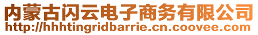 内蒙古闪云电子商务有限公司