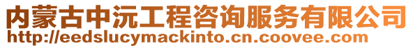 內(nèi)蒙古中沅工程咨詢服務有限公司