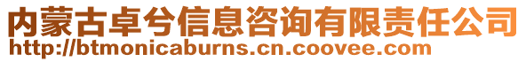 內(nèi)蒙古卓兮信息咨詢有限責(zé)任公司