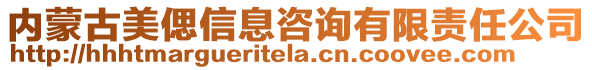 內蒙古美偲信息咨詢有限責任公司