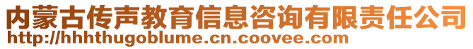 內(nèi)蒙古傳聲教育信息咨詢有限責(zé)任公司