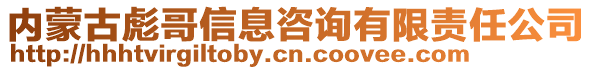 內(nèi)蒙古彪哥信息咨詢有限責(zé)任公司