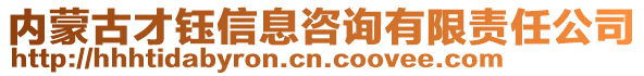 內(nèi)蒙古才鈺信息咨詢有限責(zé)任公司