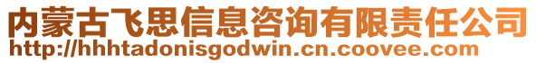 內蒙古飛思信息咨詢有限責任公司
