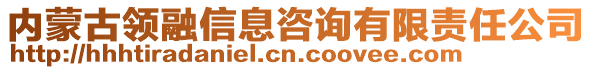內(nèi)蒙古領(lǐng)融信息咨詢有限責(zé)任公司