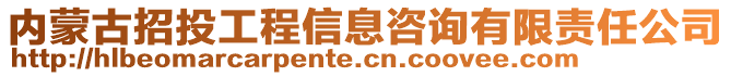 內蒙古招投工程信息咨詢有限責任公司
