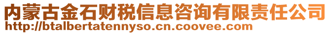 內蒙古金石財稅信息咨詢有限責任公司