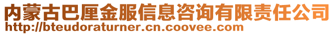 內(nèi)蒙古巴厘金服信息咨詢有限責(zé)任公司
